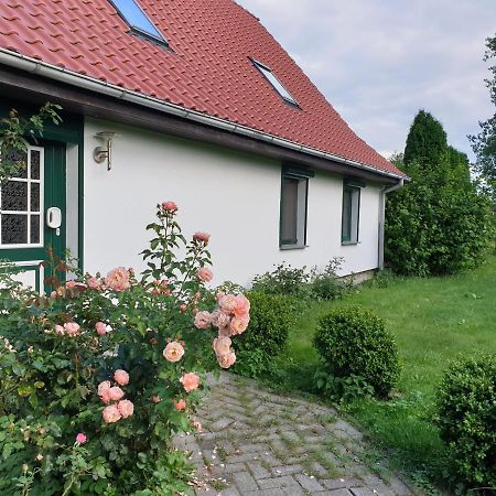 Oeko-Ferienhaus Rappin Buitenkant foto