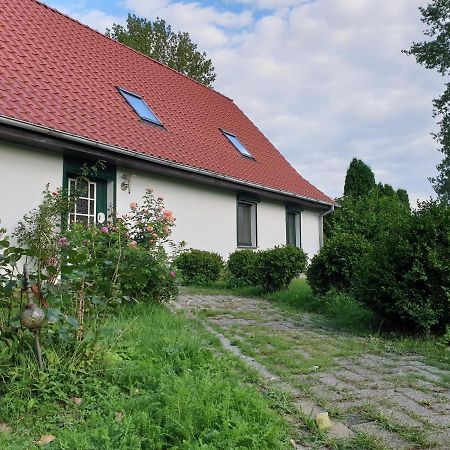 Oeko-Ferienhaus Rappin Buitenkant foto