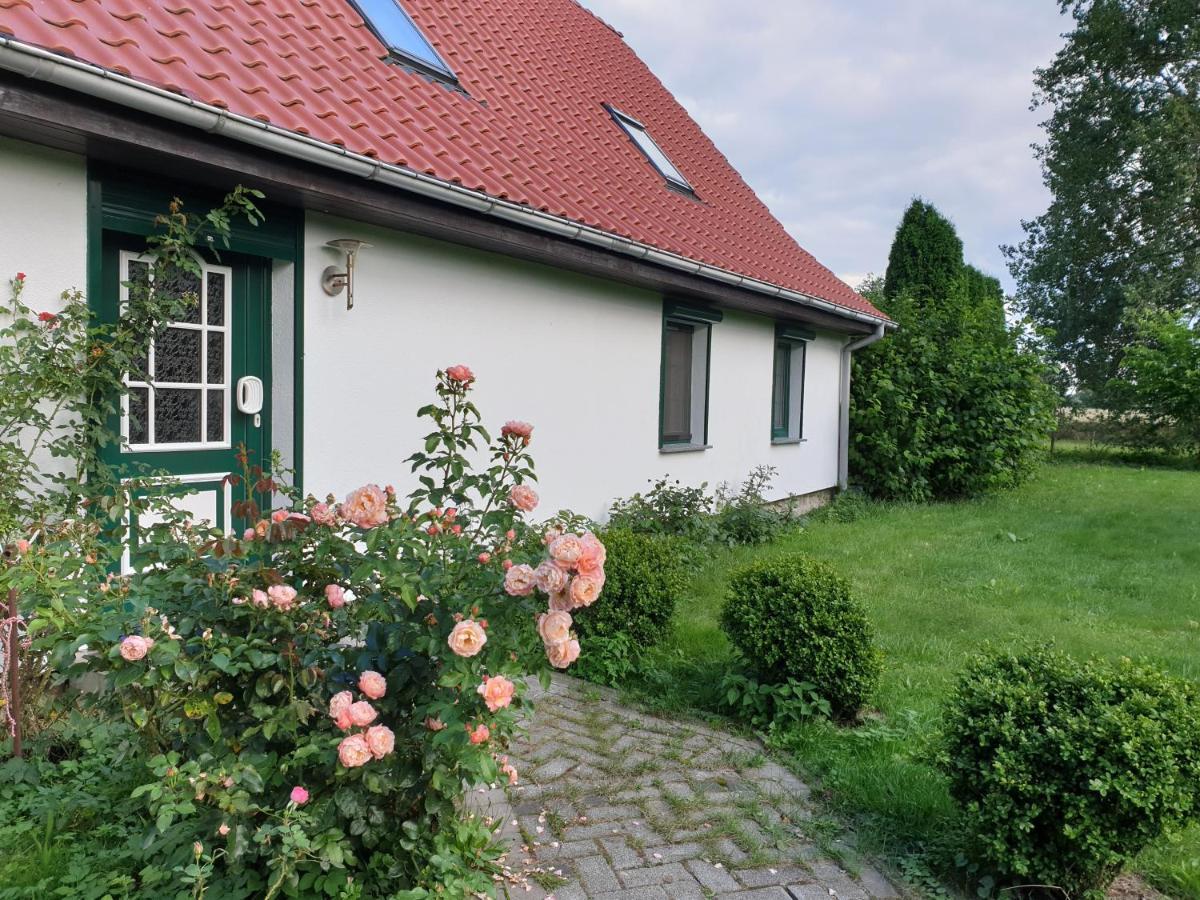 Oeko-Ferienhaus Rappin Buitenkant foto