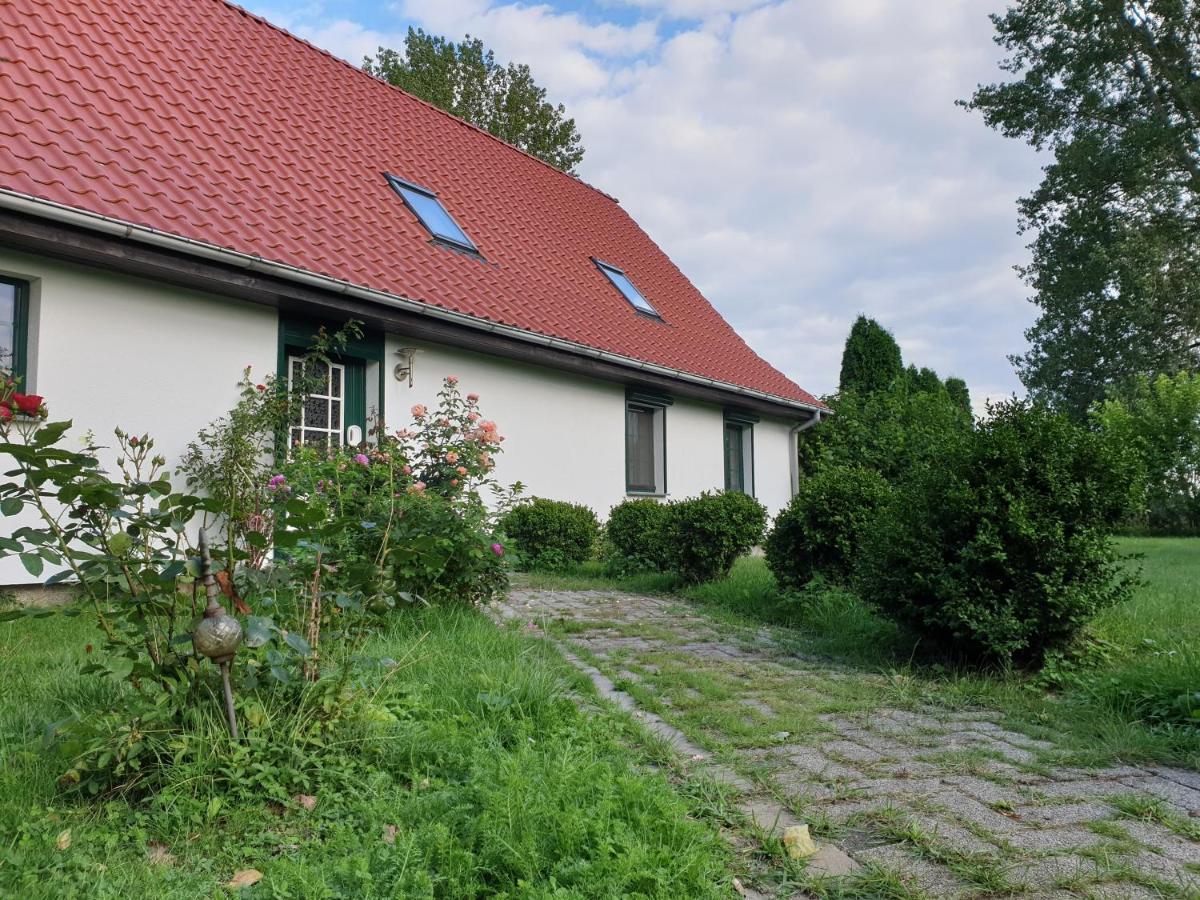 Oeko-Ferienhaus Rappin Buitenkant foto